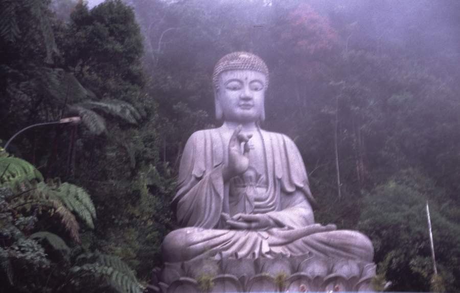 buddha