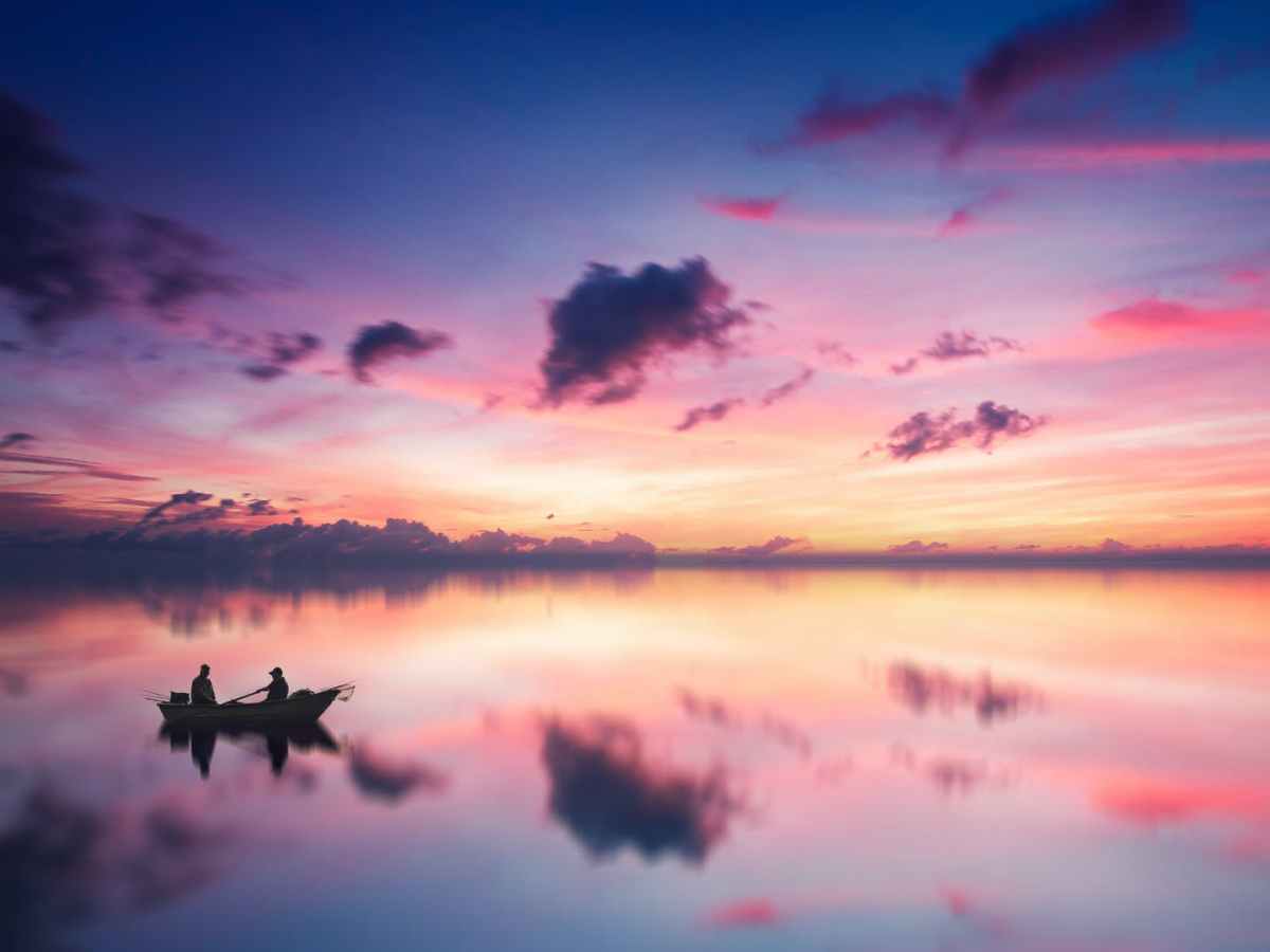 Life: An Interplay of Opposing Forces