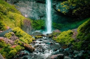 Forgive and Flow