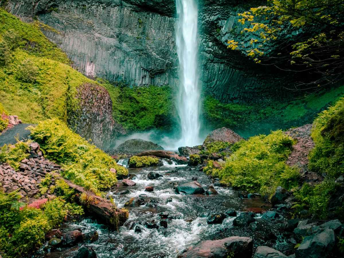 Forgive and Flow