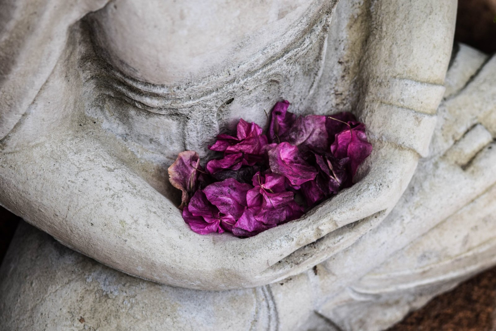 mechanics of meditation